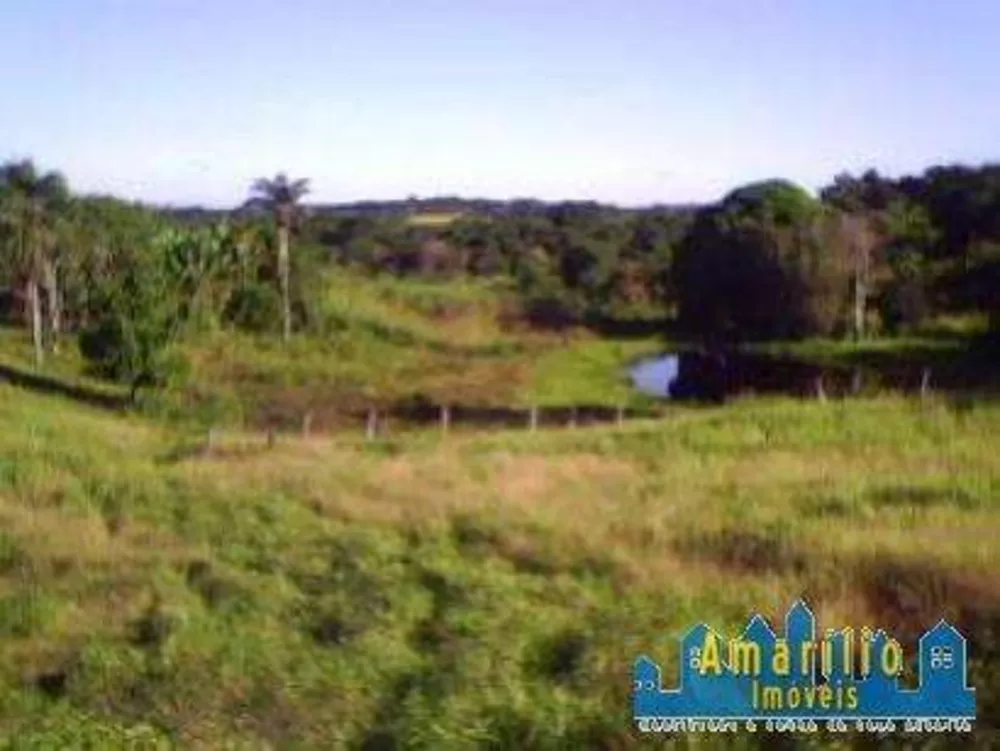 Sítio, 2 hectares - Foto 8