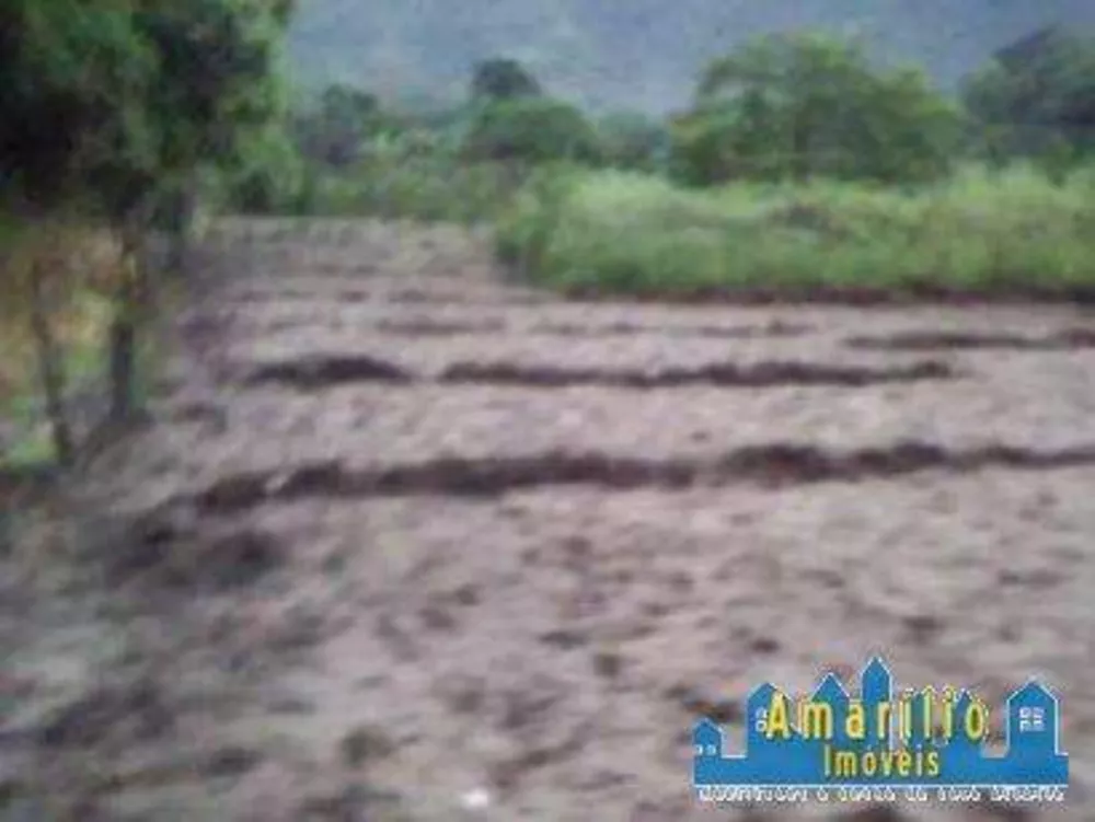 Sítio, 2 hectares - Foto 9