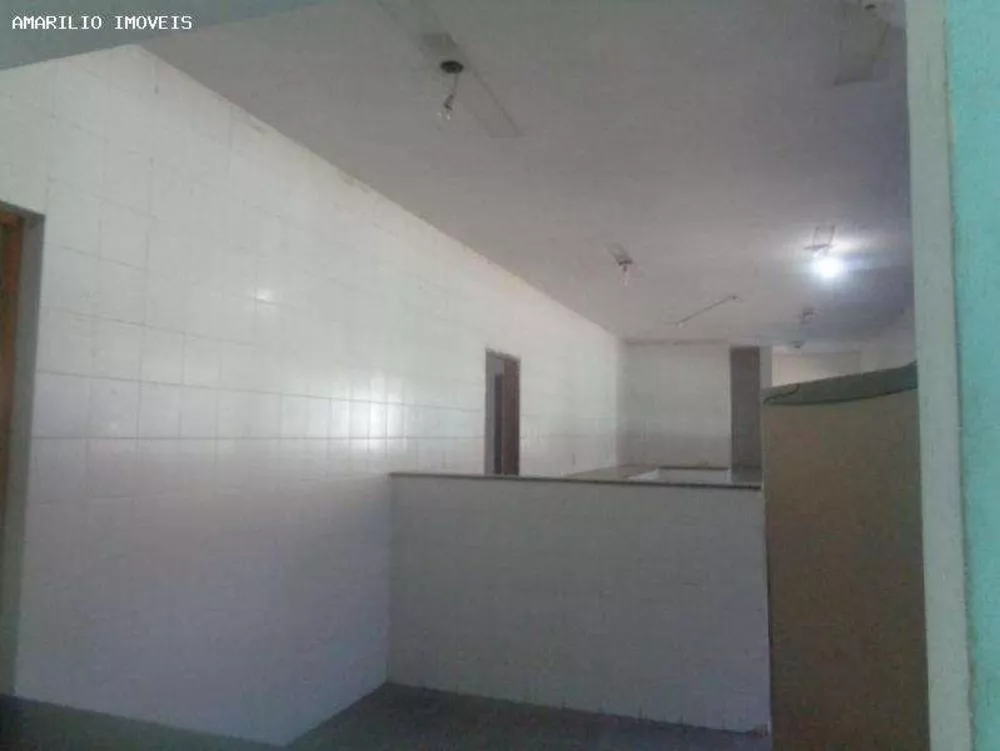 Sítio, 2 hectares - Foto 4