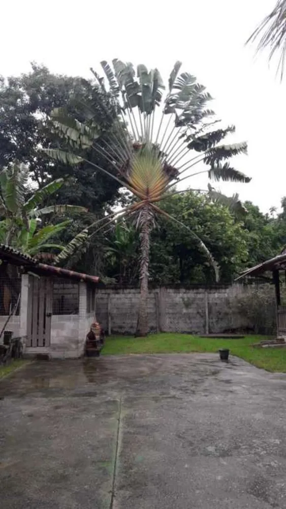 Chácara, 4 quartos, 1525 m² - Foto 22