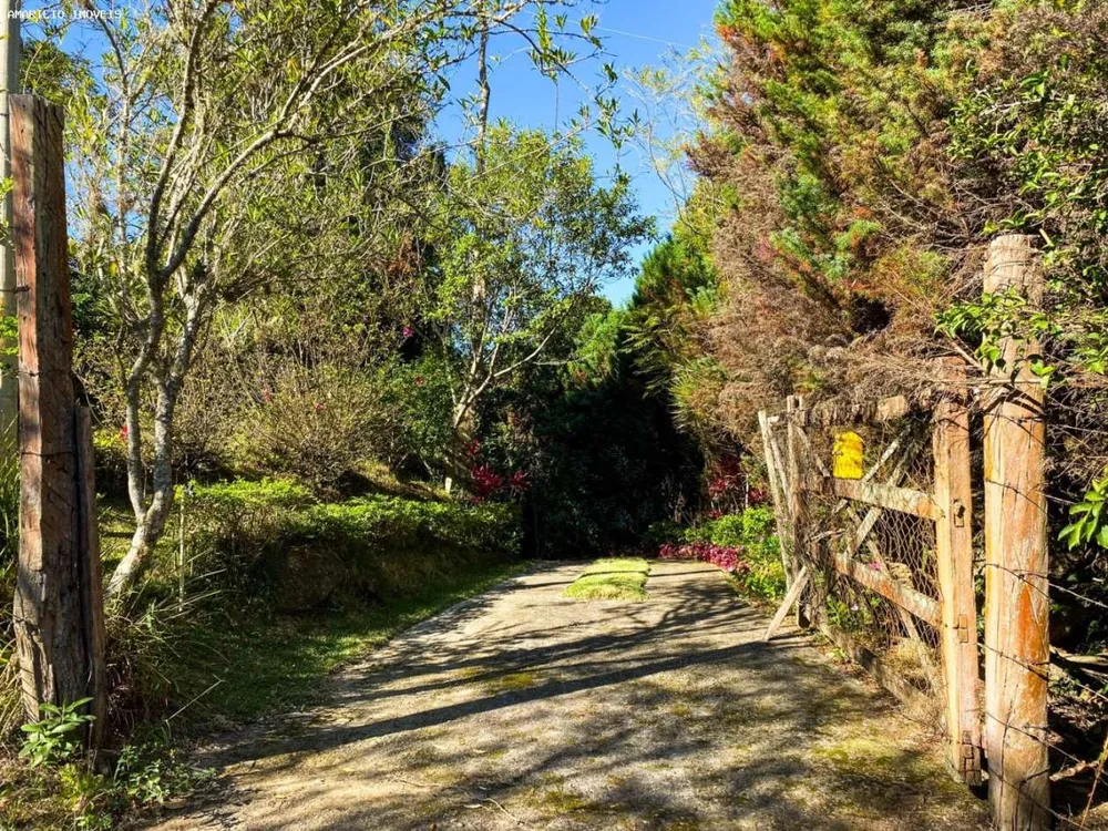 Chácara, 3 quartos, 6000 m² - Foto 2