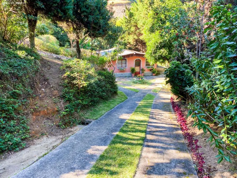Sítio, 3 quartos, 6000 m² - Foto 30
