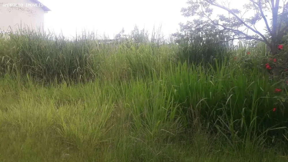 Terreno, 368 m² - Foto 6