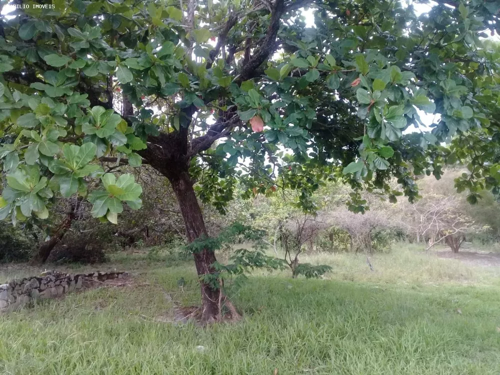 Terreno, 7000 m² - Foto 1