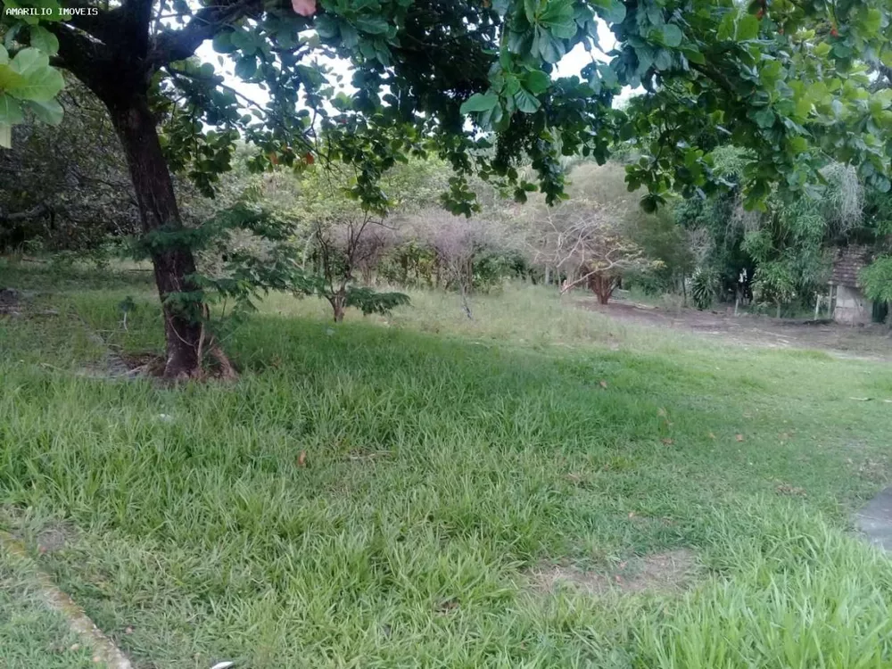 Terreno, 7000 m² - Foto 2