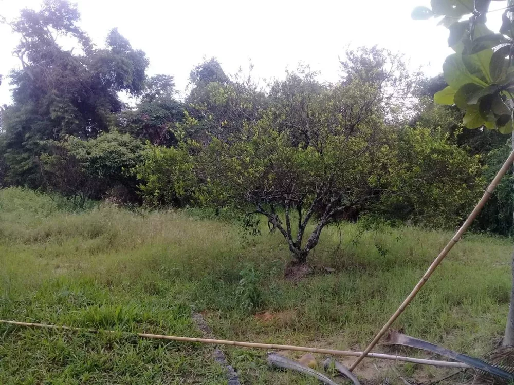 Terreno, 7000 m² - Foto 6