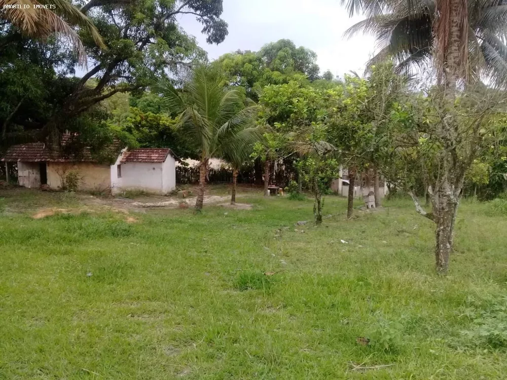 Terreno, 7000 m² - Foto 7