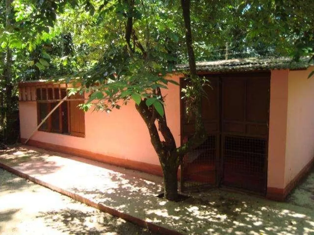 Sítio, 3 quartos, 1000 m² - Foto 9