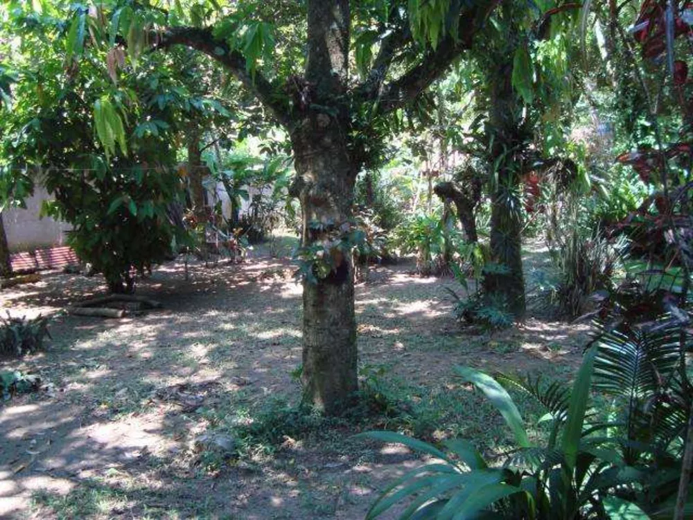 Sítio, 3 quartos, 1000 m² - Foto 11
