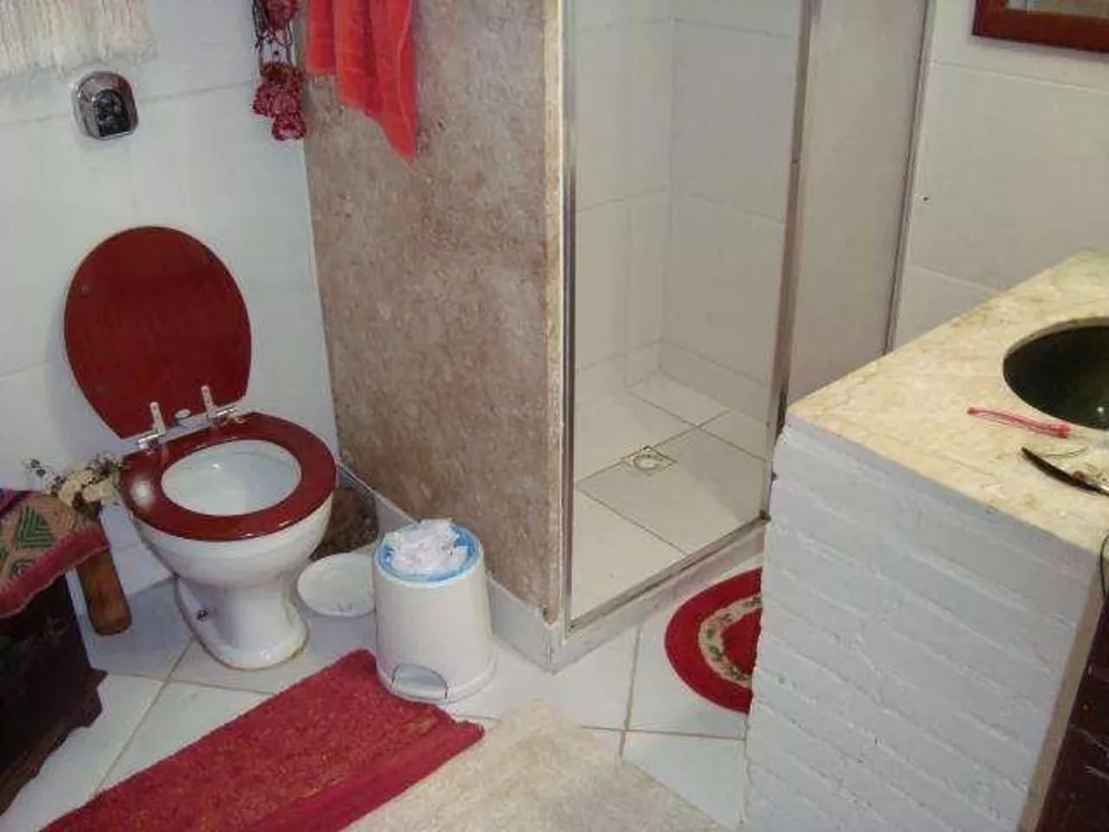 Sítio, 3 quartos, 1000 m² - Foto 4