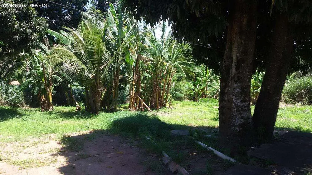 Chácara, 5 quartos, 4318 m² - Foto 29