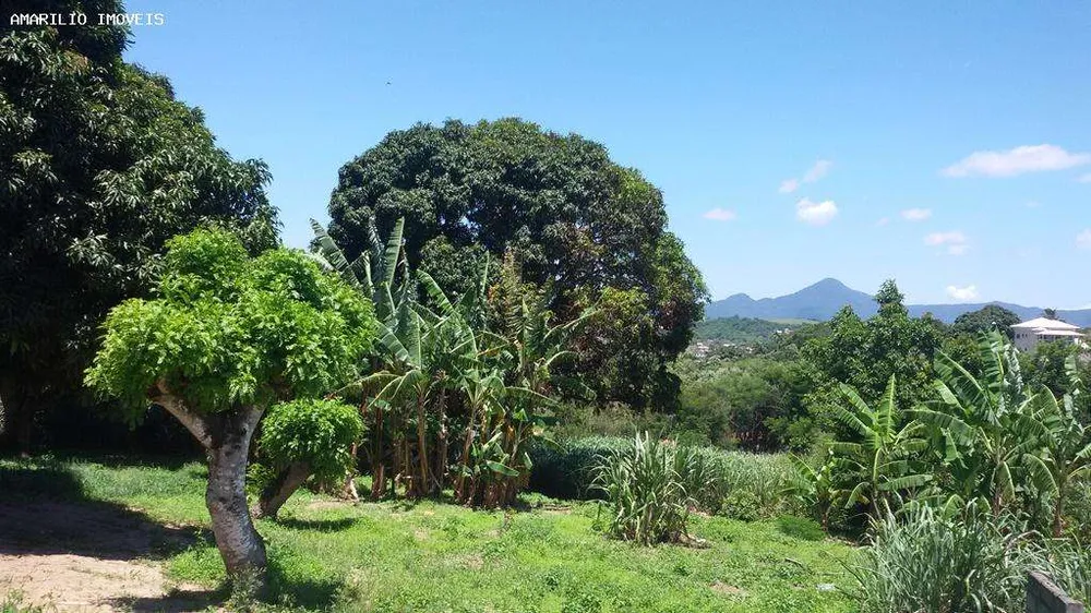 Chácara, 5 quartos, 4318 m² - Foto 8