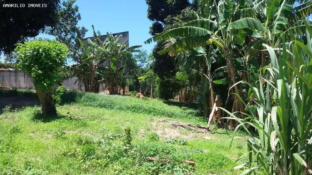 Chácara, 5 quartos, 4318 m² - Foto 21