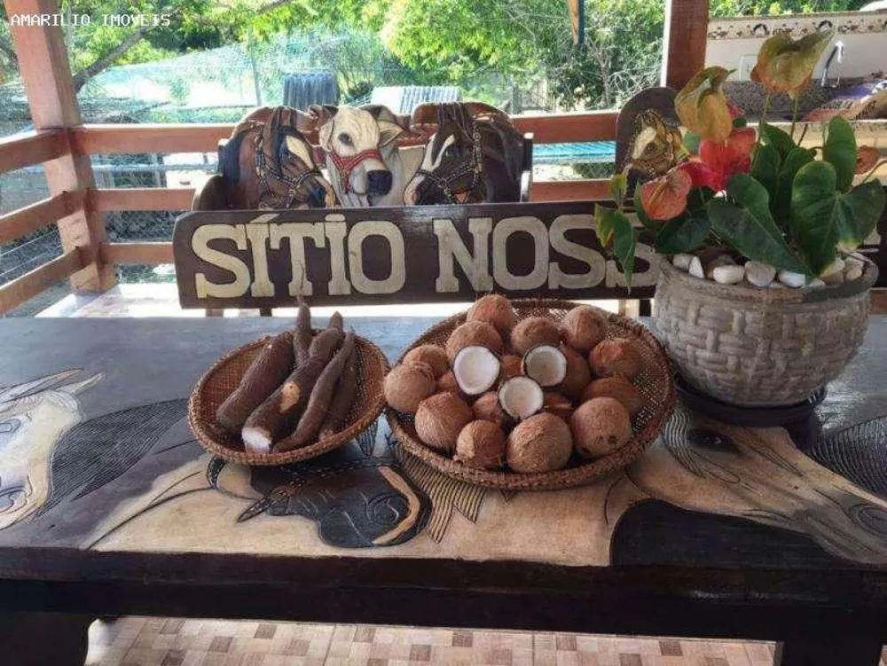 Sítio, 3 quartos, 10000 m² - Foto 12