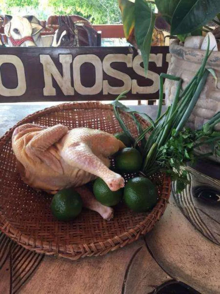 Sítio, 3 quartos, 10000 m² - Foto 14