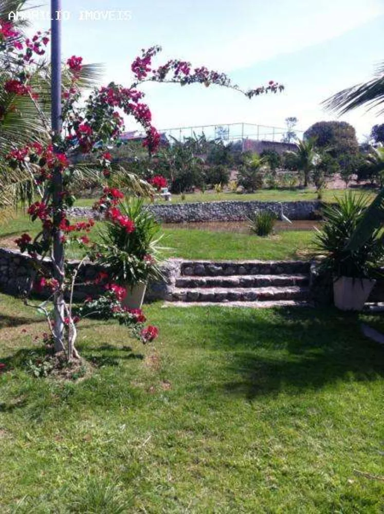 Sítio, 3 quartos, 10000 m² - Foto 19