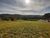Terreno, 1400 m² - Foto 4