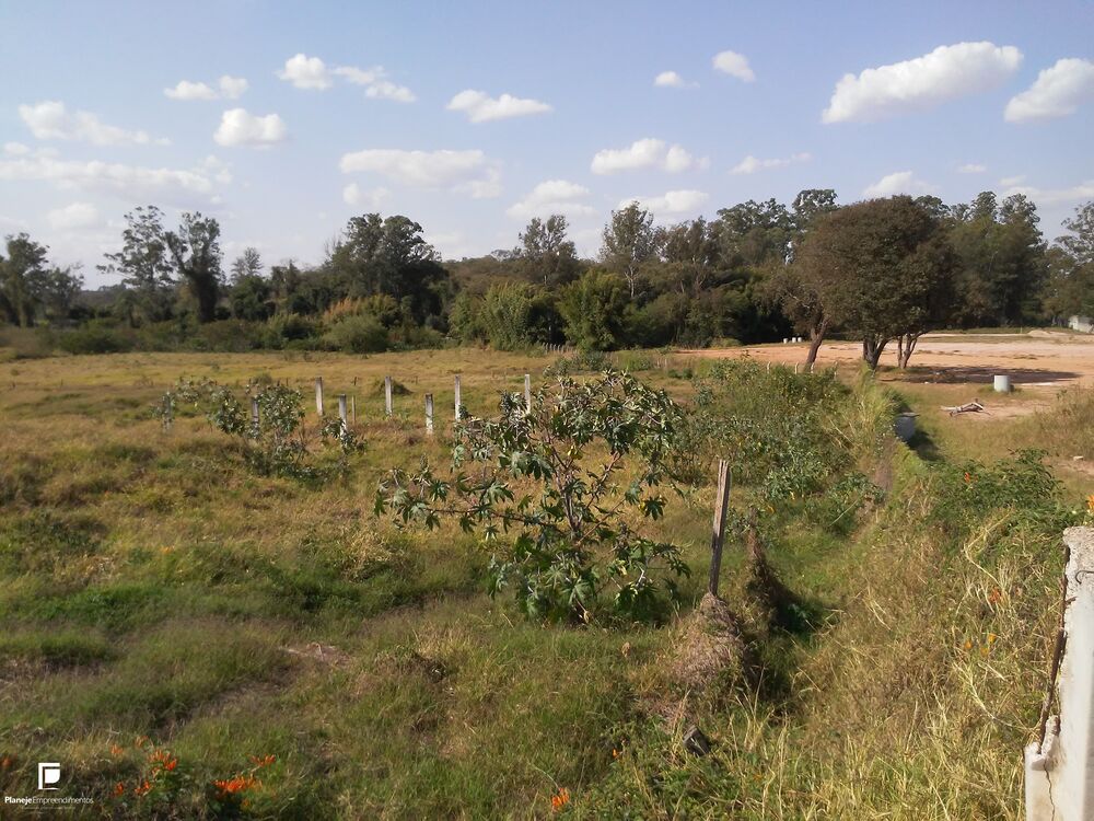 Terreno, 4 hectares - Foto 6