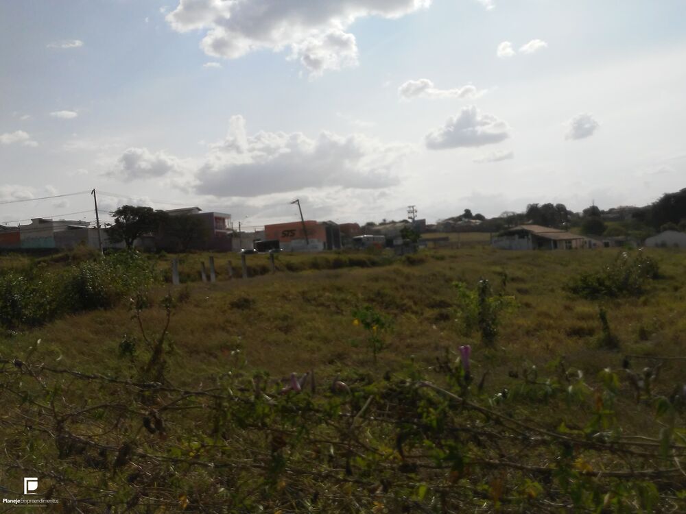 Terreno, 4 hectares - Foto 4