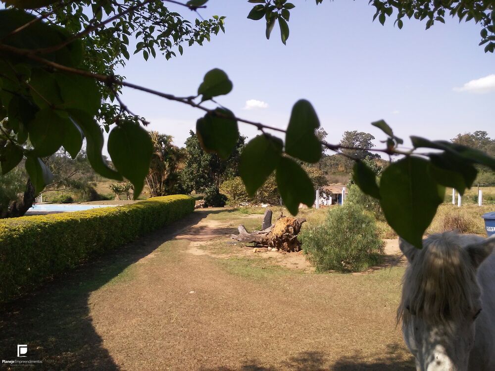 Terreno, 4 hectares - Foto 8