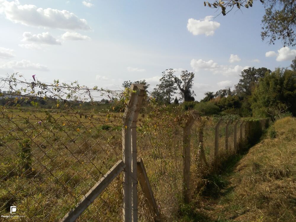 Terreno, 4 hectares - Foto 7