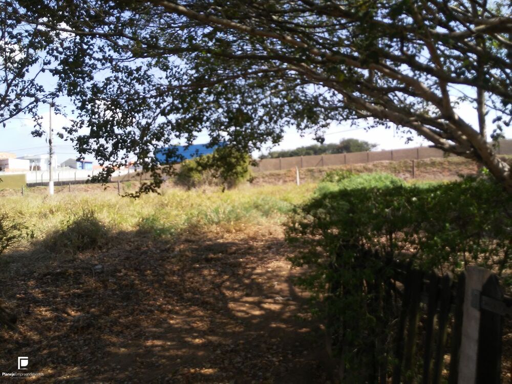 Terreno, 4 hectares - Foto 10