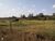 Terreno, 4 hectares - Foto 2