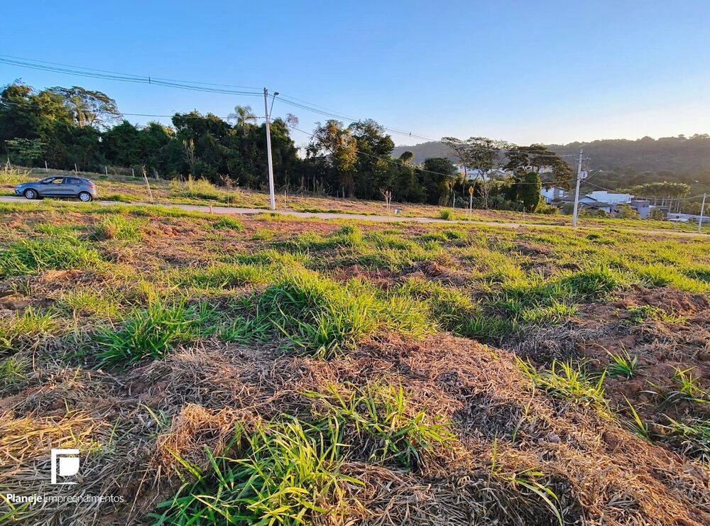 Terreno, 250 m² - Foto 3