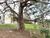 Terreno, 1180 m² - Foto 2
