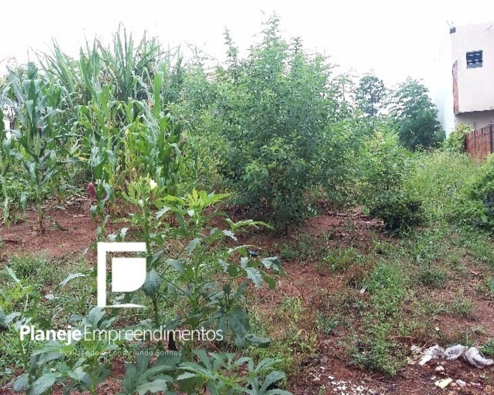 Terreno, 250 m² - Foto 2