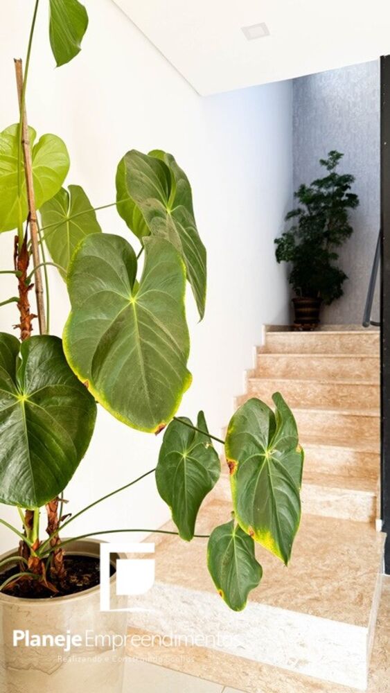 Casa de Condomínio à venda e aluguel com 4 quartos, 844m² - Foto 9
