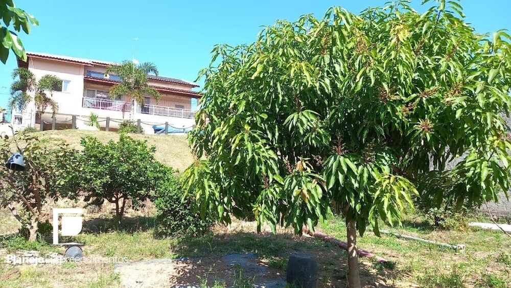 Chácara, 3 quartos - Foto 4