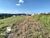 Terreno, 850 m² - Foto 6