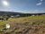 Terreno, 850 m² - Foto 7