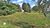 Terreno, 1300 m² - Foto 1