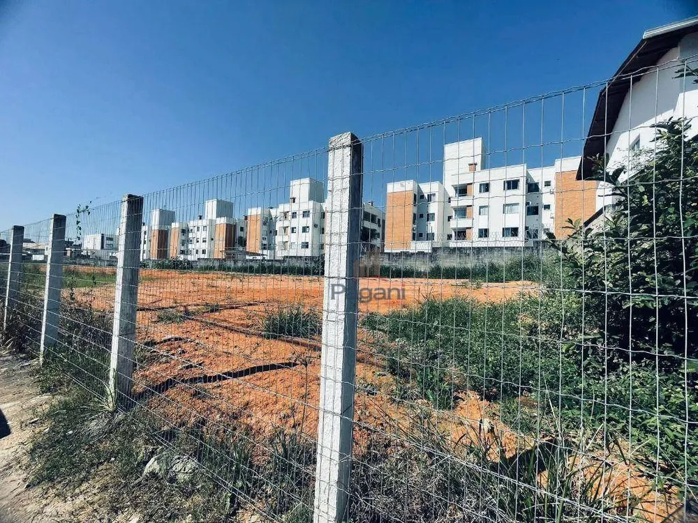 Terreno, 240 m² - Foto 3
