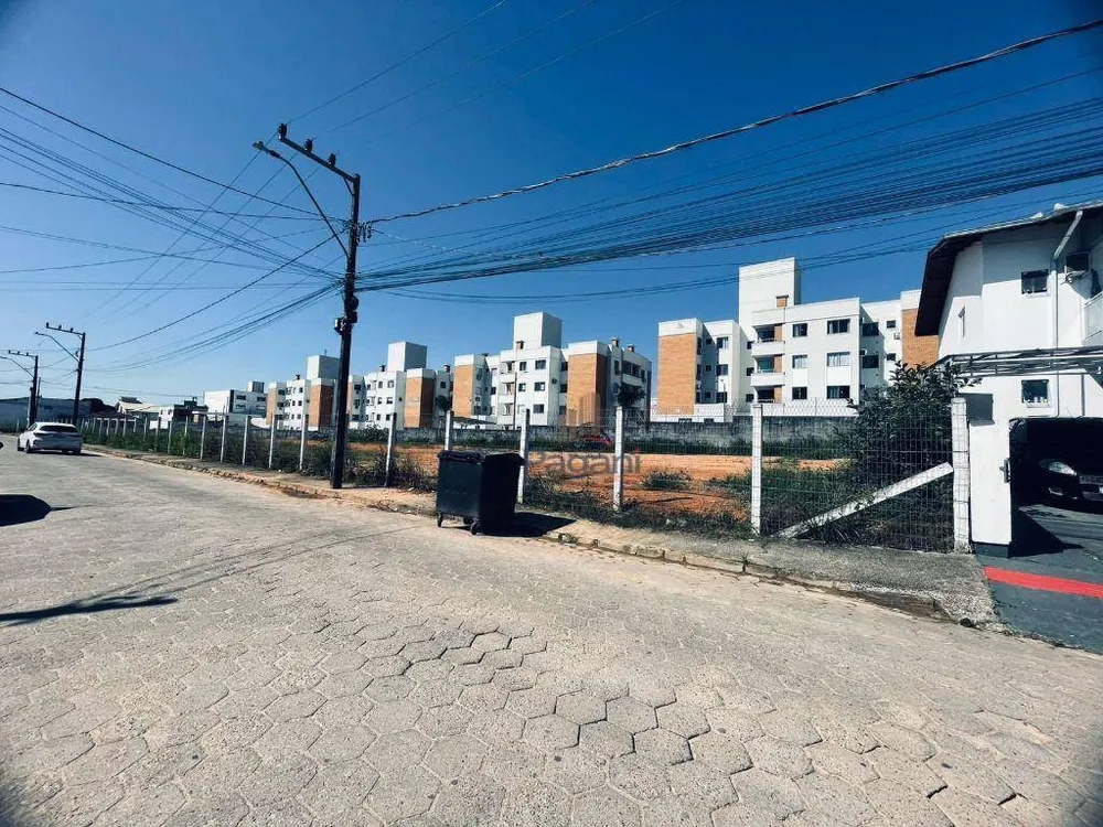 Terreno, 240 m² - Foto 4
