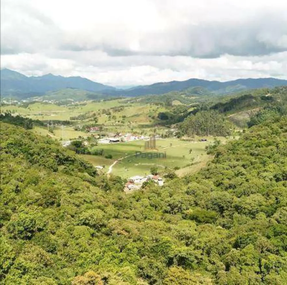 Sítio, 3 quartos, 6000 m² - Foto 9