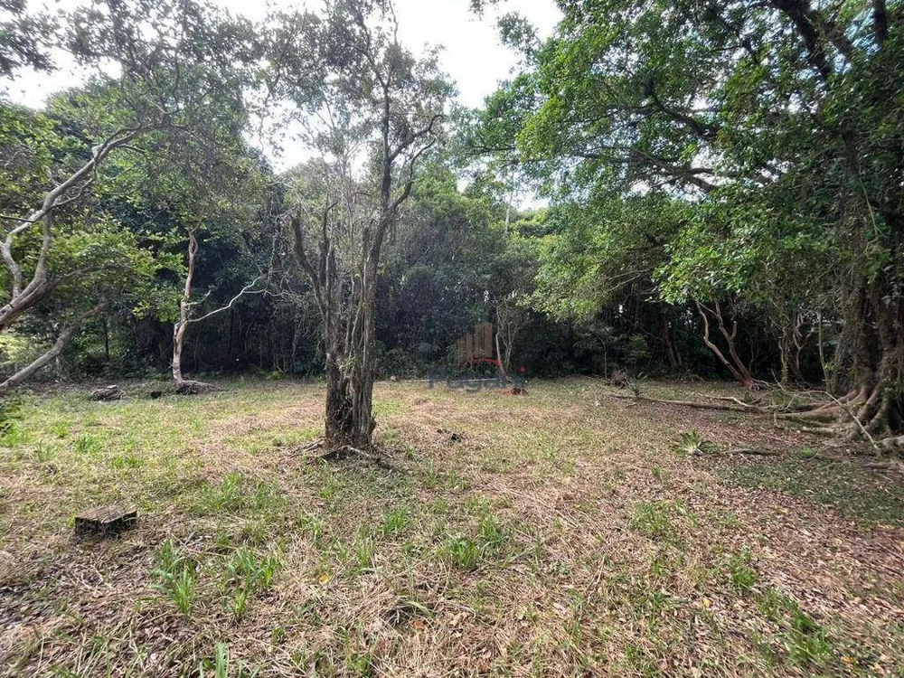 Sítio, 2 quartos, 2 hectares - Foto 8