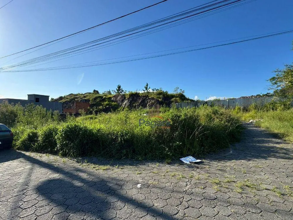 Terreno, 300 m² - Foto 4