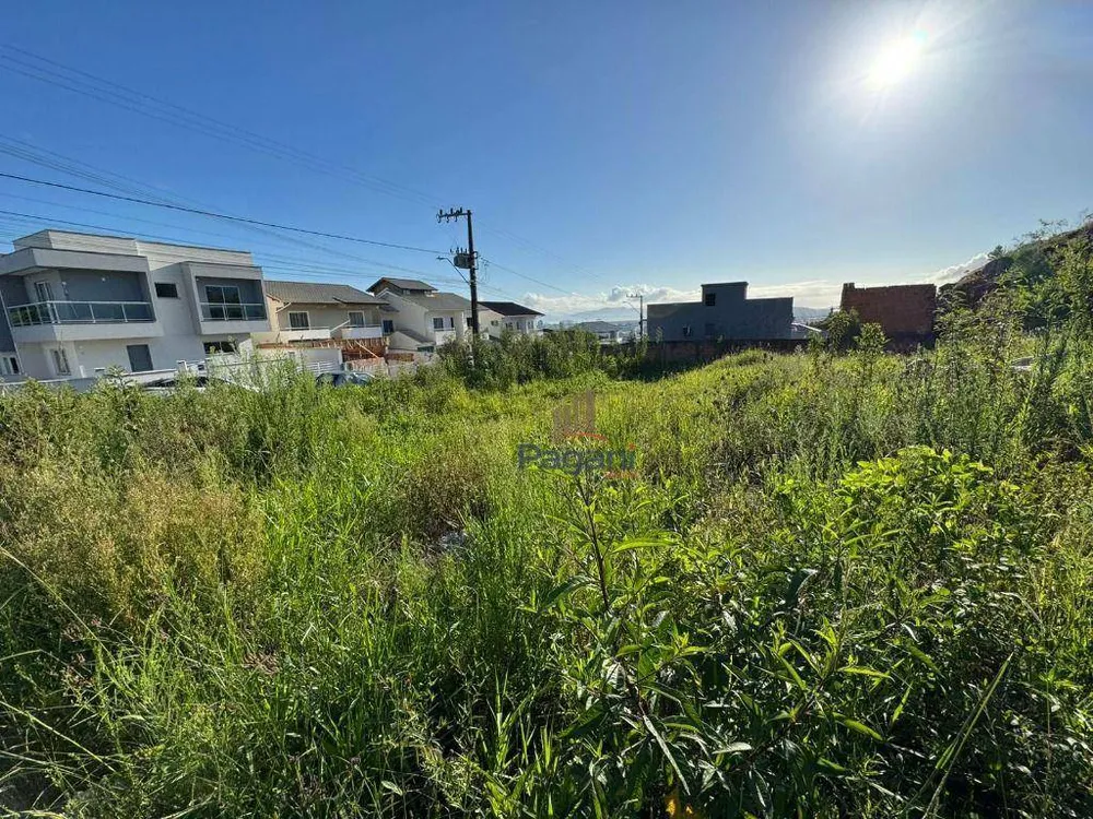 Terreno, 300 m² - Foto 2