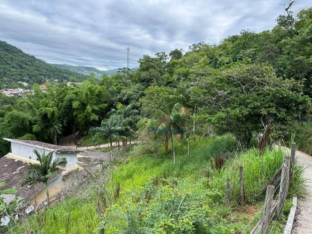 Terreno, 592 m² - Foto 6