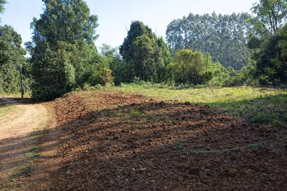 Sítio, 30 m² - Foto 1