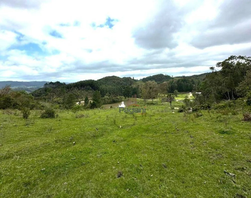 Terreno, 10 hectares - Foto 1