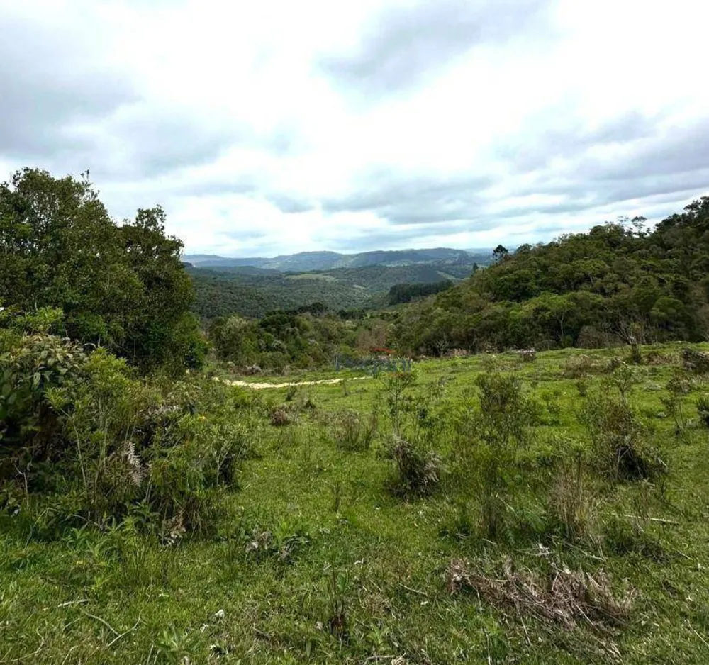 Terreno, 10 hectares - Foto 3