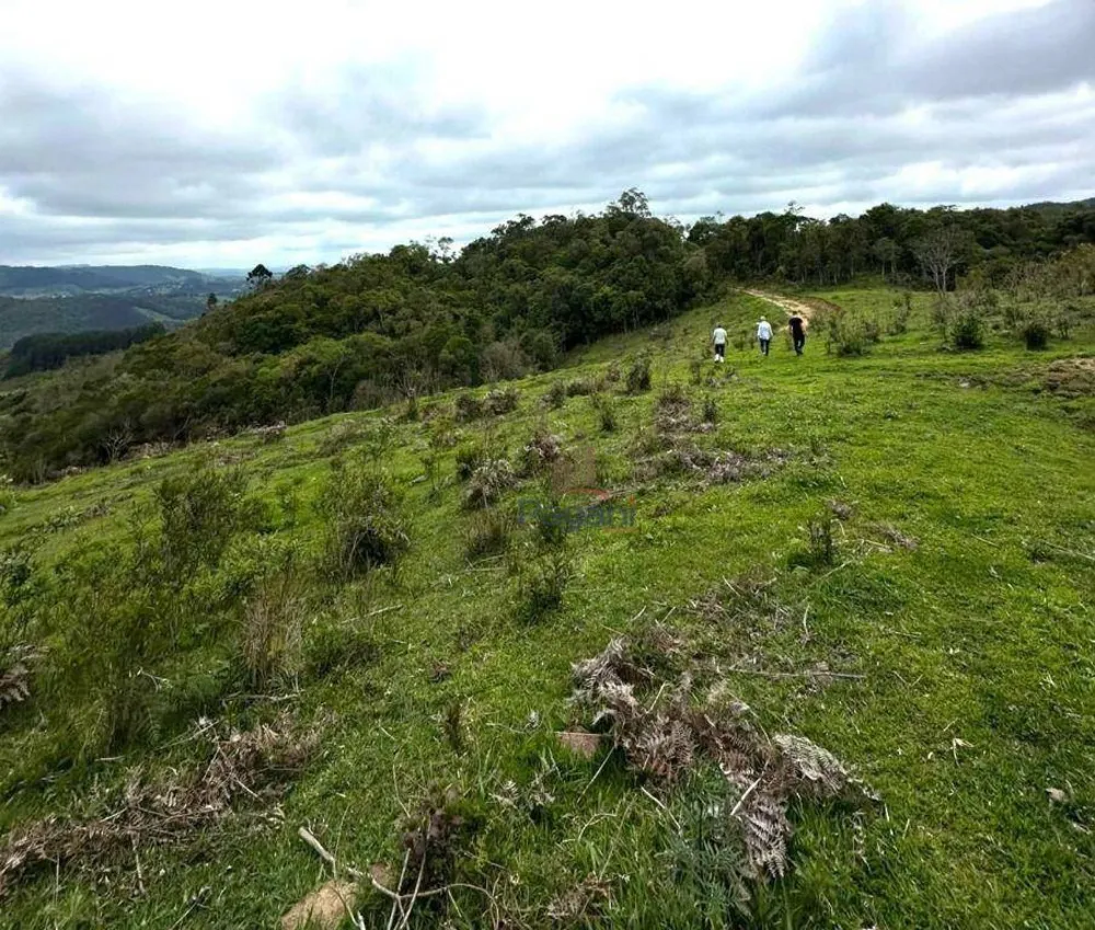 Terreno, 10 hectares - Foto 8
