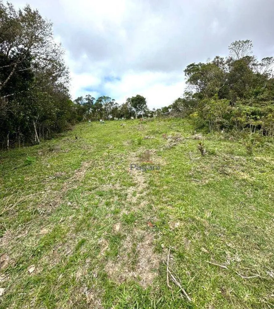 Terreno, 10 hectares - Foto 2