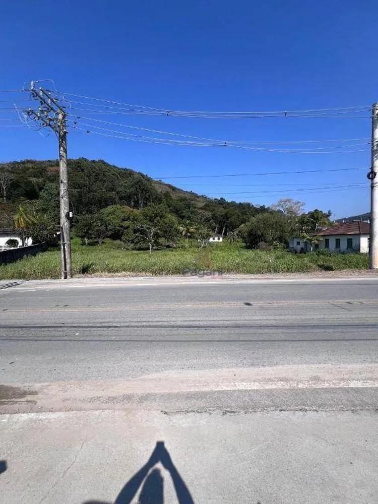 Terreno, 3 hectares - Foto 5