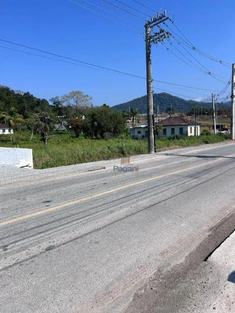 Terreno, 3 hectares - Foto 7