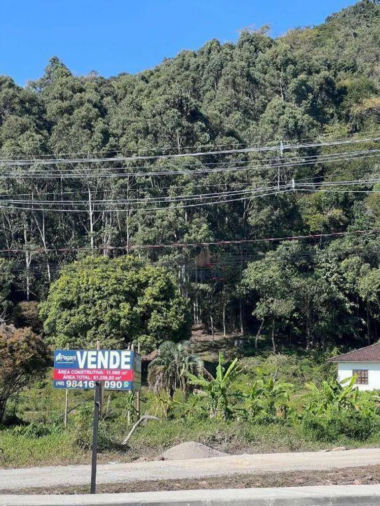 Terreno, 3 hectares - Foto 1